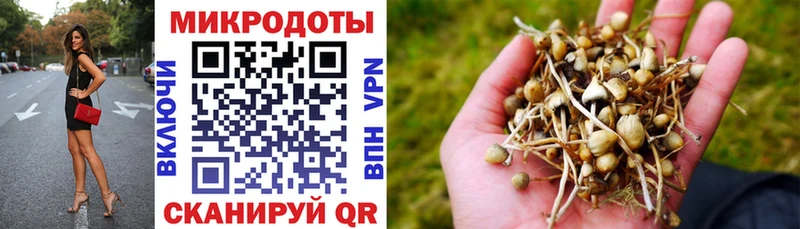 Псилоцибиновые грибы GOLDEN TEACHER  Чапаевск 